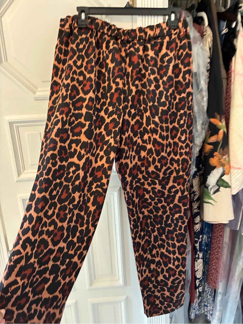 Leopard Print Pants - Brown/Black